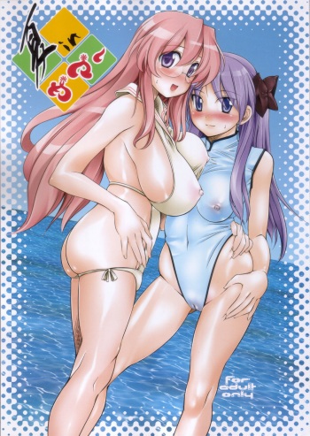 Natsu in Summer cover