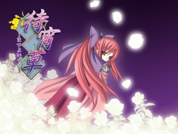 Matsuyoigusa cover