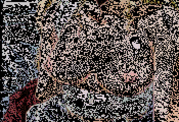 xMisc cover