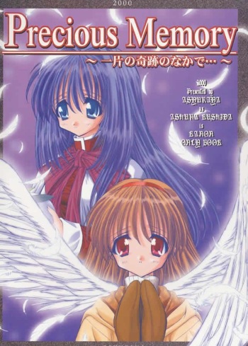 Precious Memory ～ Ippen no Kiseki no Naka de... ～ cover