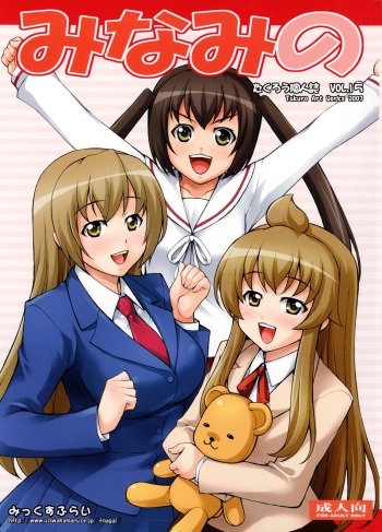 Minami no cover