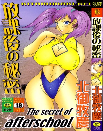 Houkago no Himitsu cover