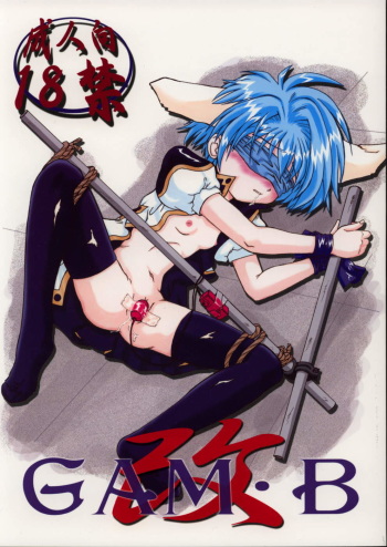 GAM-B KAI cover