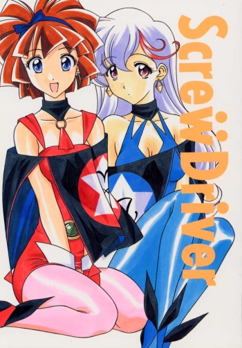 Screw Drive cover