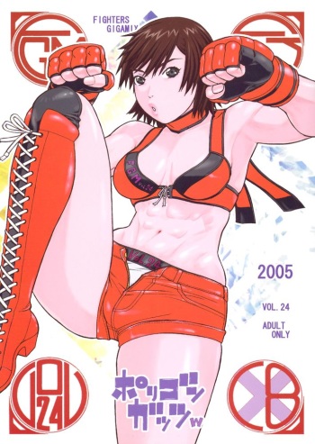 FIGHTERS GIGAMIX FGM Vol.24 cover