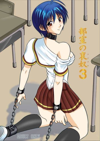 Bushitsu no Idol 3 cover