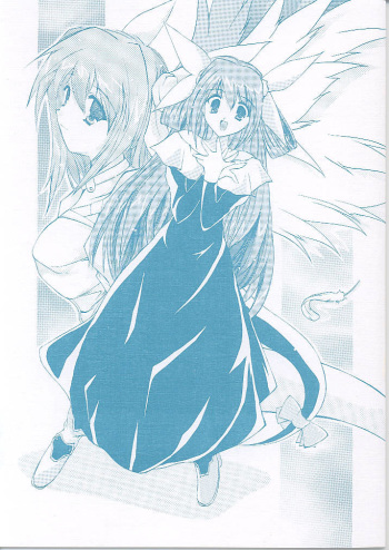 Type C cover