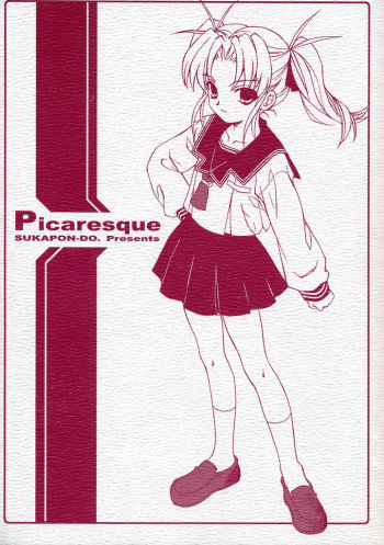 Picaresque cover