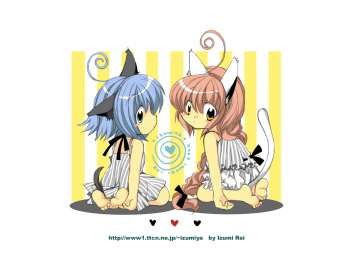 Random Catgirls 4 cover