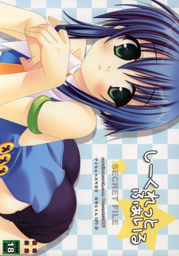 SECRET FILE cover