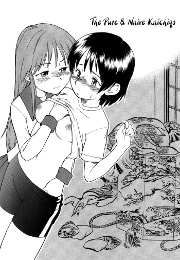 The Pure &amp; Naive Kaichigo cover