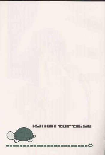 kanon tortoise cover