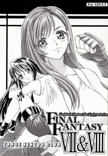 FINAL FANTASY EIGHT &amp; NINE - Combined number for eight and nine cover