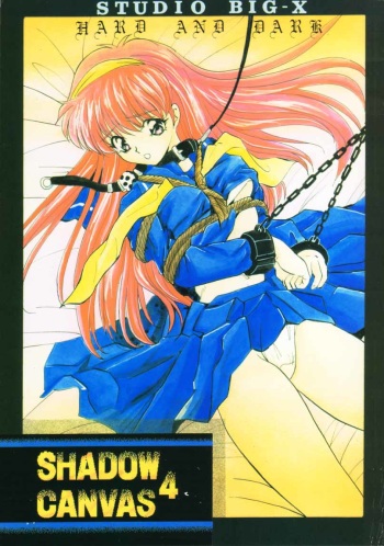 SHADOW CANVAS 4 cover