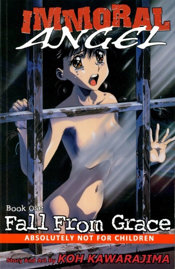 Immoral Angel Volume 1: Fall From Grace cover