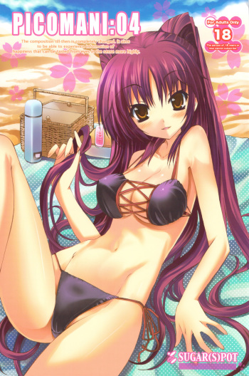 POT  PICOMANI:04 cover