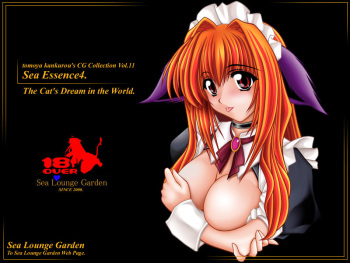 Sea Essence 4 cover