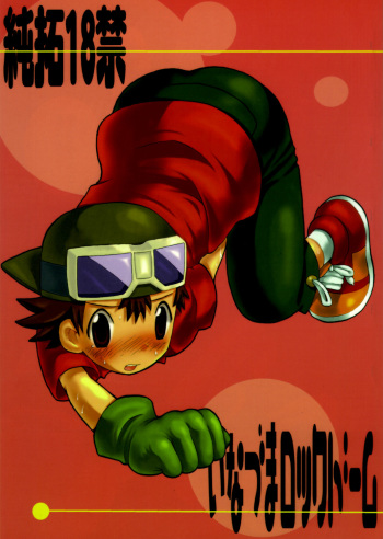 Inazuma Rock Dome cover