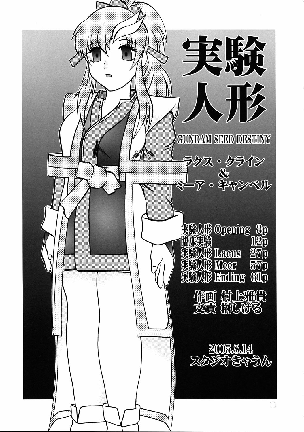 Jikken Ningyou ～Lacus Clyne &amp; Meer Campbell～ page 10 full
