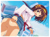 Suzumiya-san-chi no SOS Dan ~SOS Dan Katsudou Shashinshuu~ page 4 full