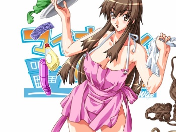 My Home Wife cover