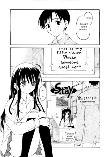 Stay cover