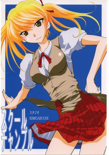 School Champlu cover