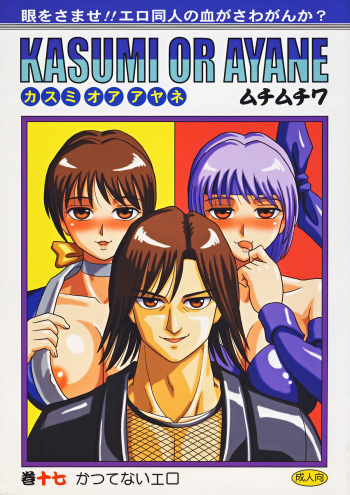 Kasumi or Ayane cover