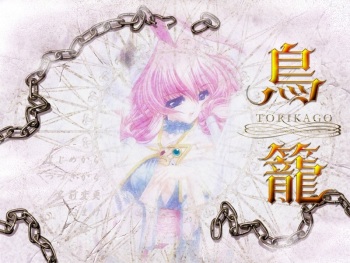 Torikago cover