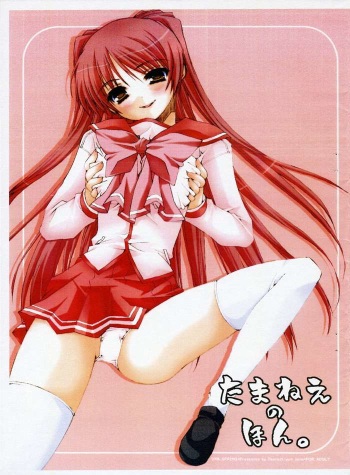 Tama-nee no Hon. cover