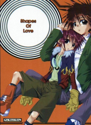 Shapes of Love cover