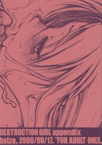 DESTRUCTION GIRL Appendix cover