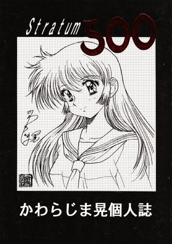 Stratum 500 cover