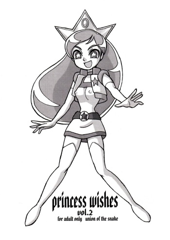princess wishes vol. 2 cover