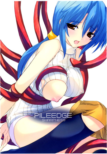 PILE EDGE SHARPNESS cover