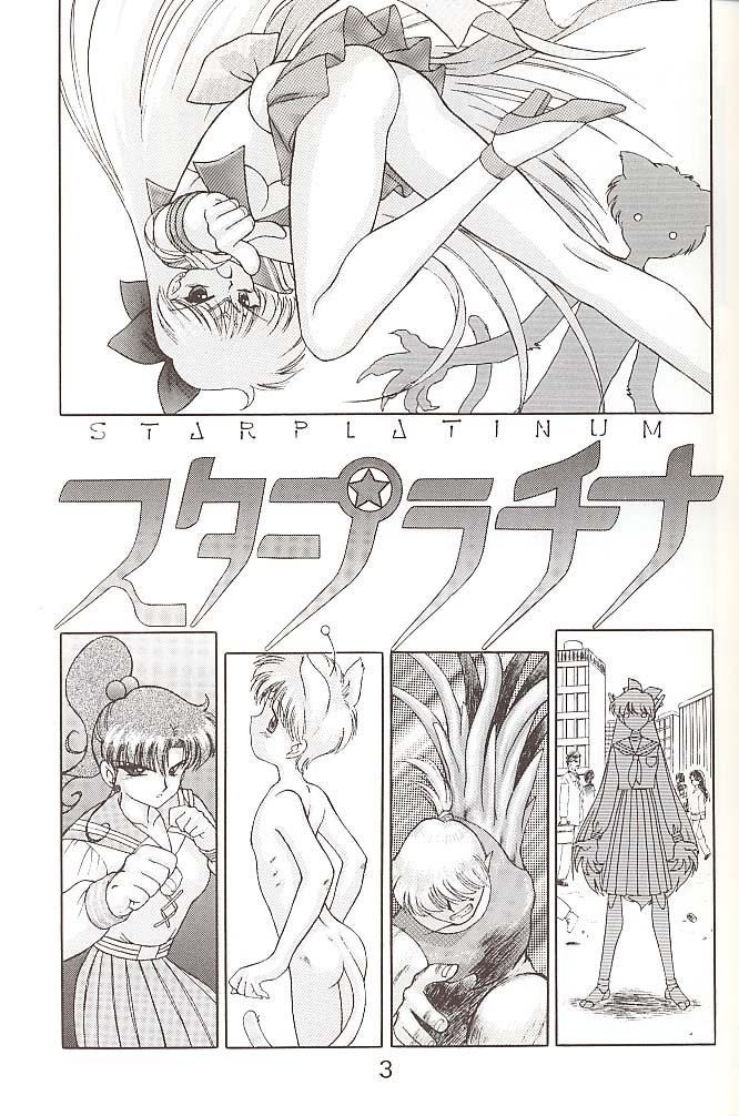 Star Platinum page 2 full