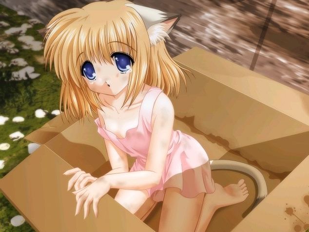 Catgirl Mega-gallery page 7 full