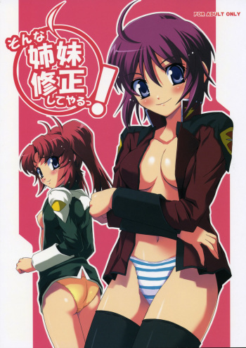 Sonna Shimai Shuusei Shiteyaru! cover