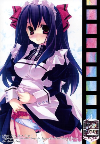Night Maid Bird Cage. cover