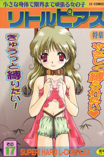 Little Pierce Vol.17 cover