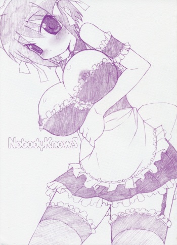 NobodyKnowS cover