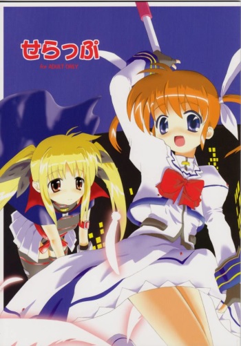 Set Up cover