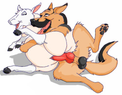 yiffy furry foxy & k9 collection- 070-02