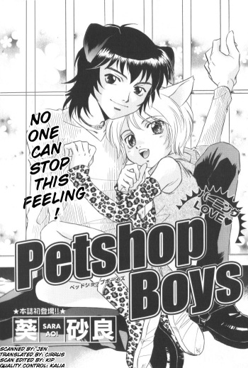 Petshop Boys cover