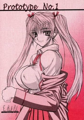 Prototype No.1 cover