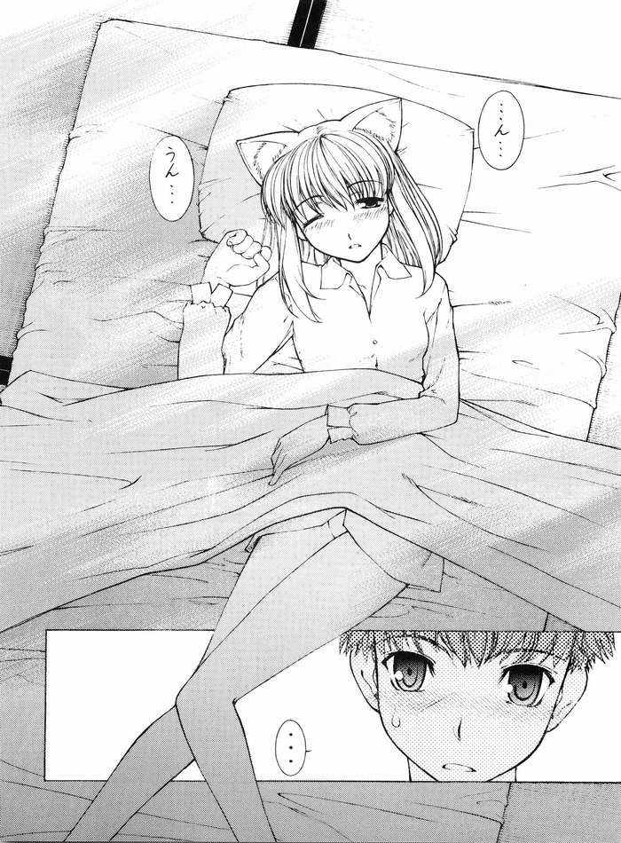 Nekomimi Fate page 5 full
