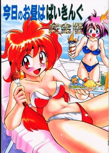 BTB-21 Kyou no Ohiru wa Viking Kanzenban cover