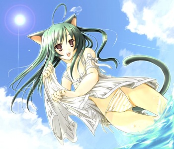 Random Catgirls 3 cover