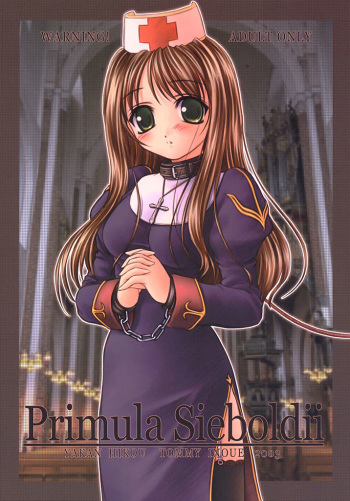 Primula Sieboldii cover
