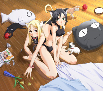 catgirls cover